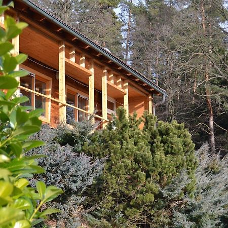 Apartment Sonnleiten Hohenberg  Zewnętrze zdjęcie