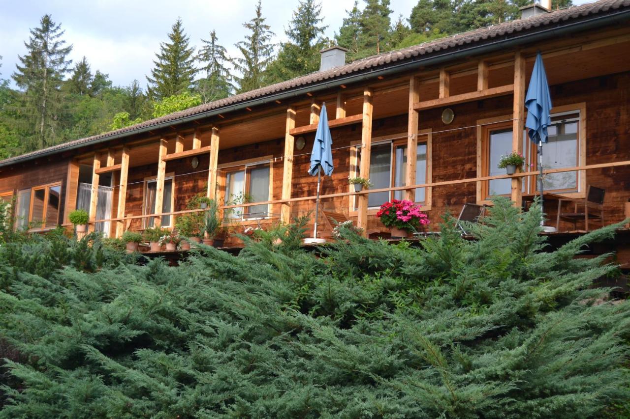 Apartment Sonnleiten Hohenberg  Zewnętrze zdjęcie